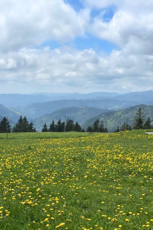 On top of Feldberg in the Black Forest 