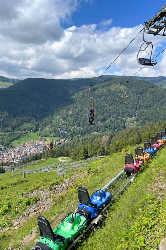 The alpine coaster in Todtnau 